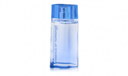 Essence Of Terramar Night   100 ml