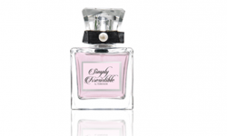 Simply Irresistible   50 ml