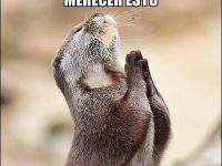 ¿POR QUE A MI ME PASA ESTO?